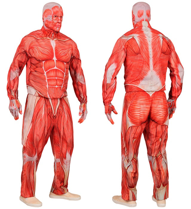 Anatomie-Kostüm mit Oberteil, Hose, Handschuhen und Maske auf weißem Hintergrund