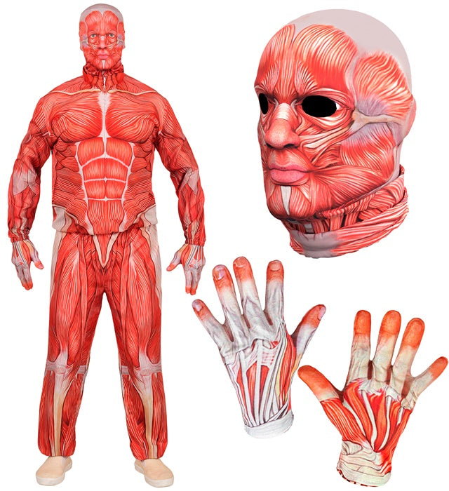 Anatomie-Kostüm mit Oberteil, Hose, Handschuhen und Maske auf weißem Hintergrund
