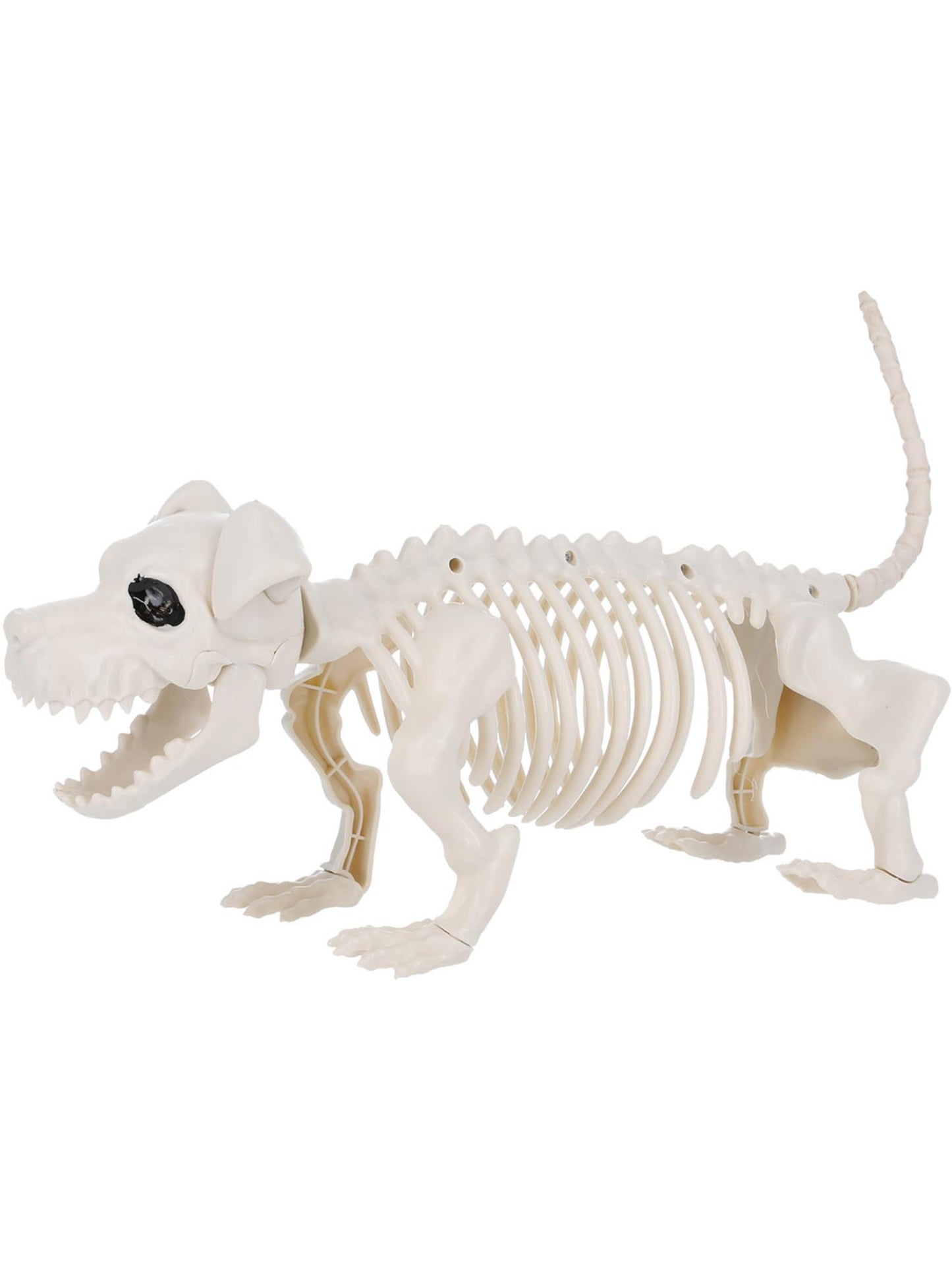 Smiffys ANIMAL Dog Skeleton Prop, Natural PG für Unisex