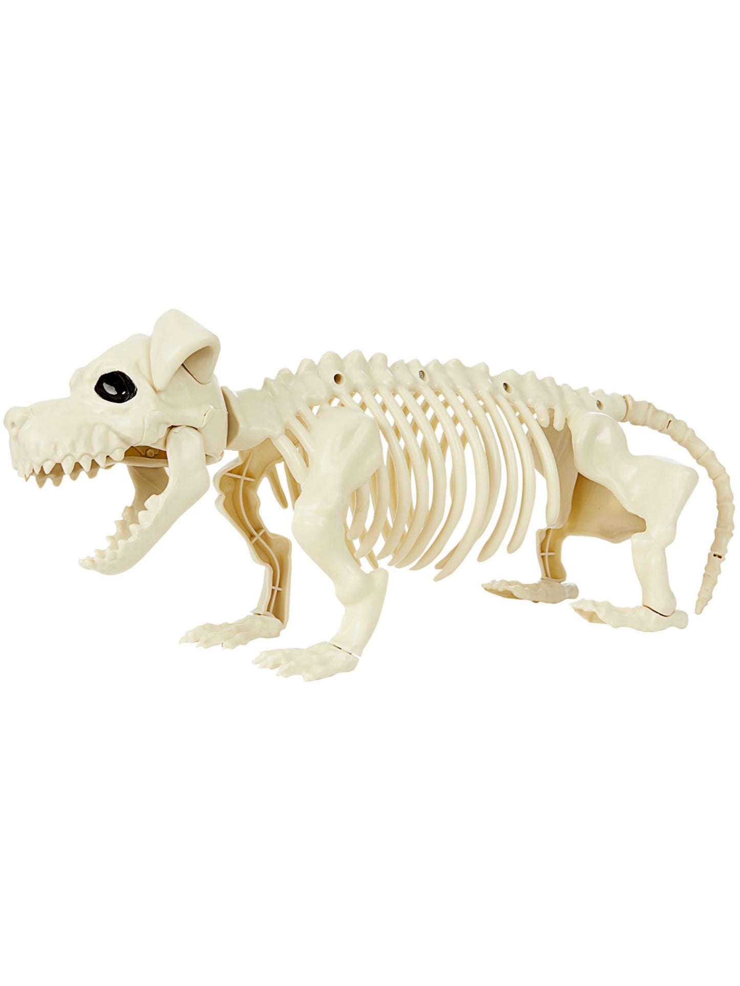 Smiffys ANIMAL Dog Skeleton Prop, Natural PG für Unisex