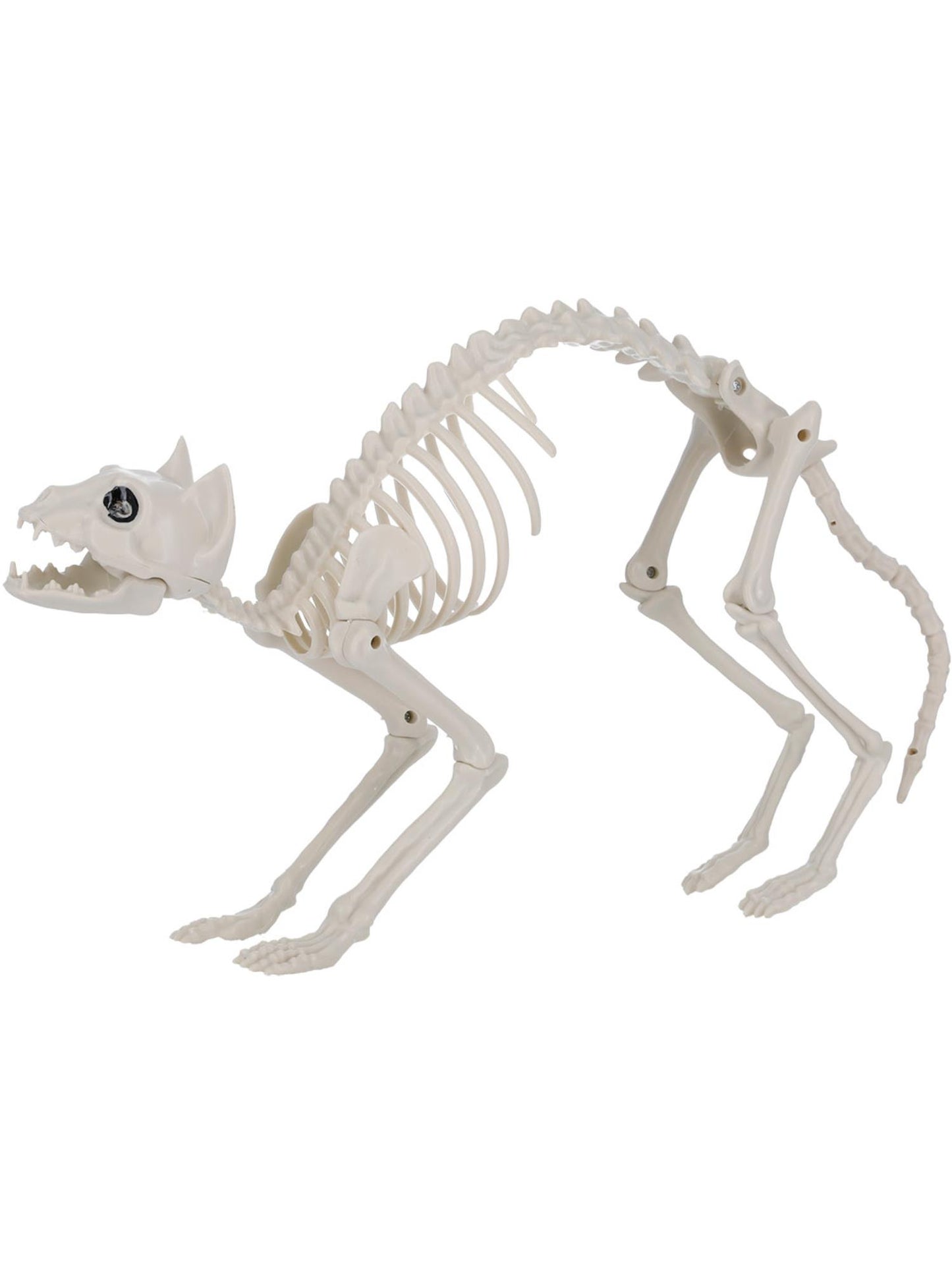 Smiffys ANIMAL Cat Skeleton Prop, Natural PG für Unisex