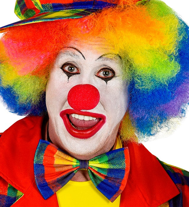 Bunte Clown-Fliege mit farbigem Muster für Fasnacht und Karneval