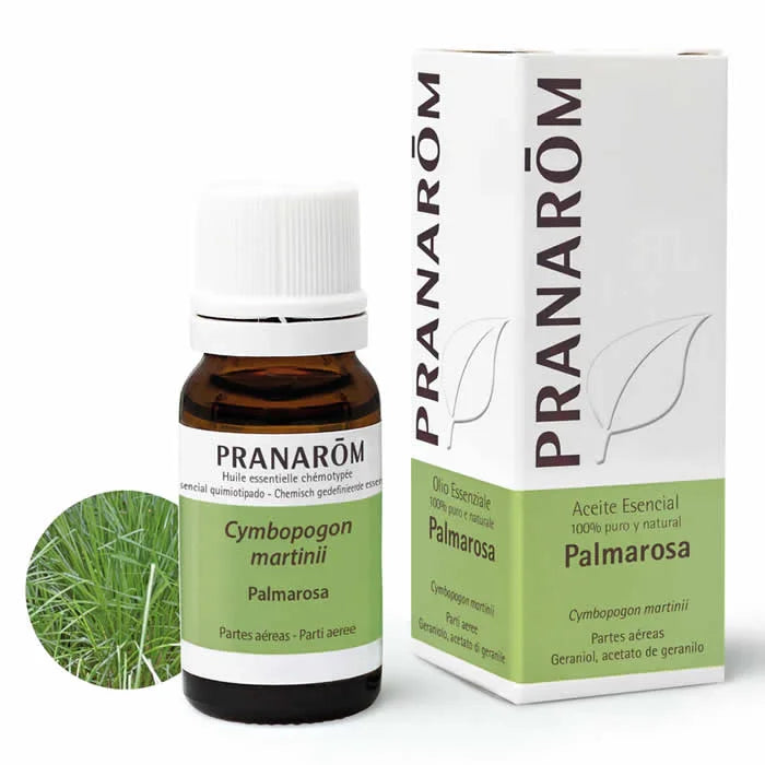 PRANARÔM PRANARÔM Palmarosa ätherisches Öl 10 ml Kosmetik