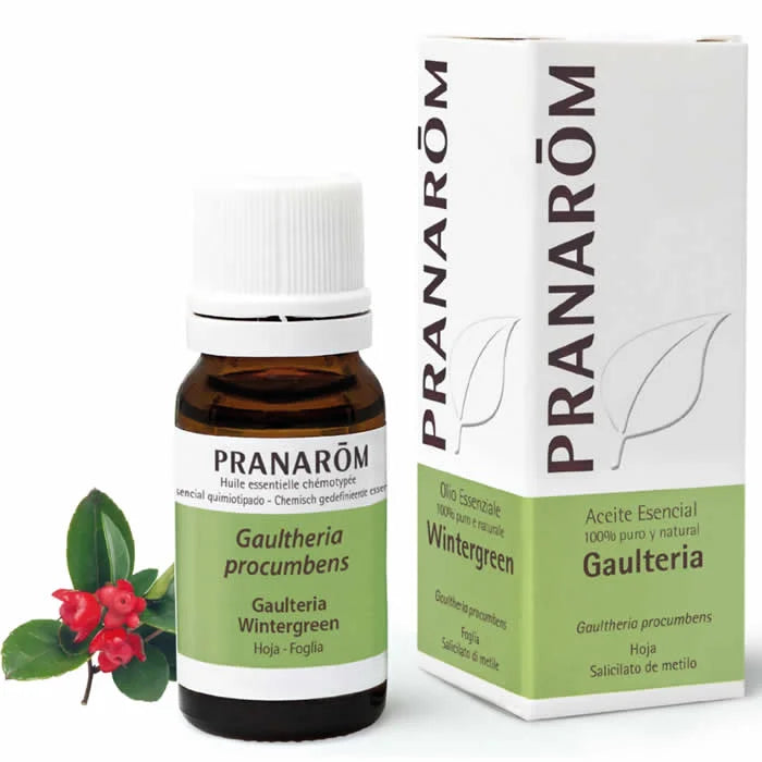 PRANARÔM PRANARÔM Wintergreen Leaf ätherisches Öl 10 ml Kosmetik