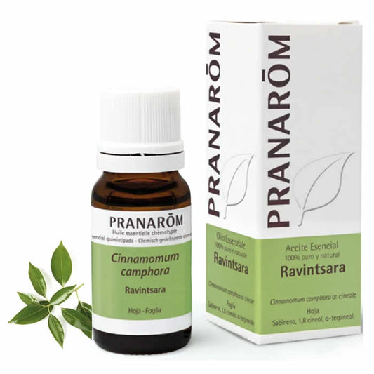 PRANARÔM PRANARÔM Ravintsara ätherisches Öl 10 ml Kosmetik