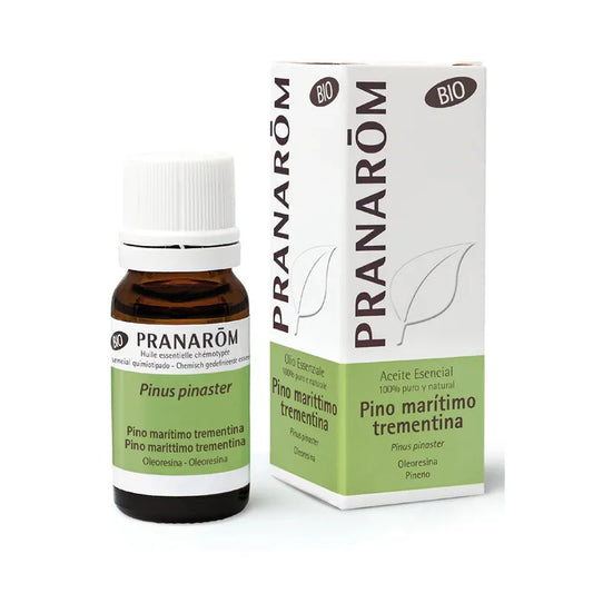 PRANARÔM PRANARÔM Ätherisches Öl Bio Seekiefer Terpentin 10 ml Kosmetik