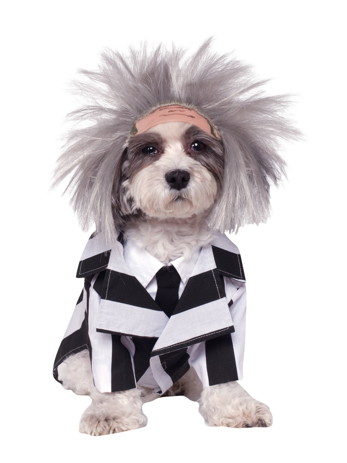 Rubies Beetlejuice Kostüm für Haustiere mit Jacke, Krawatte und Perücke