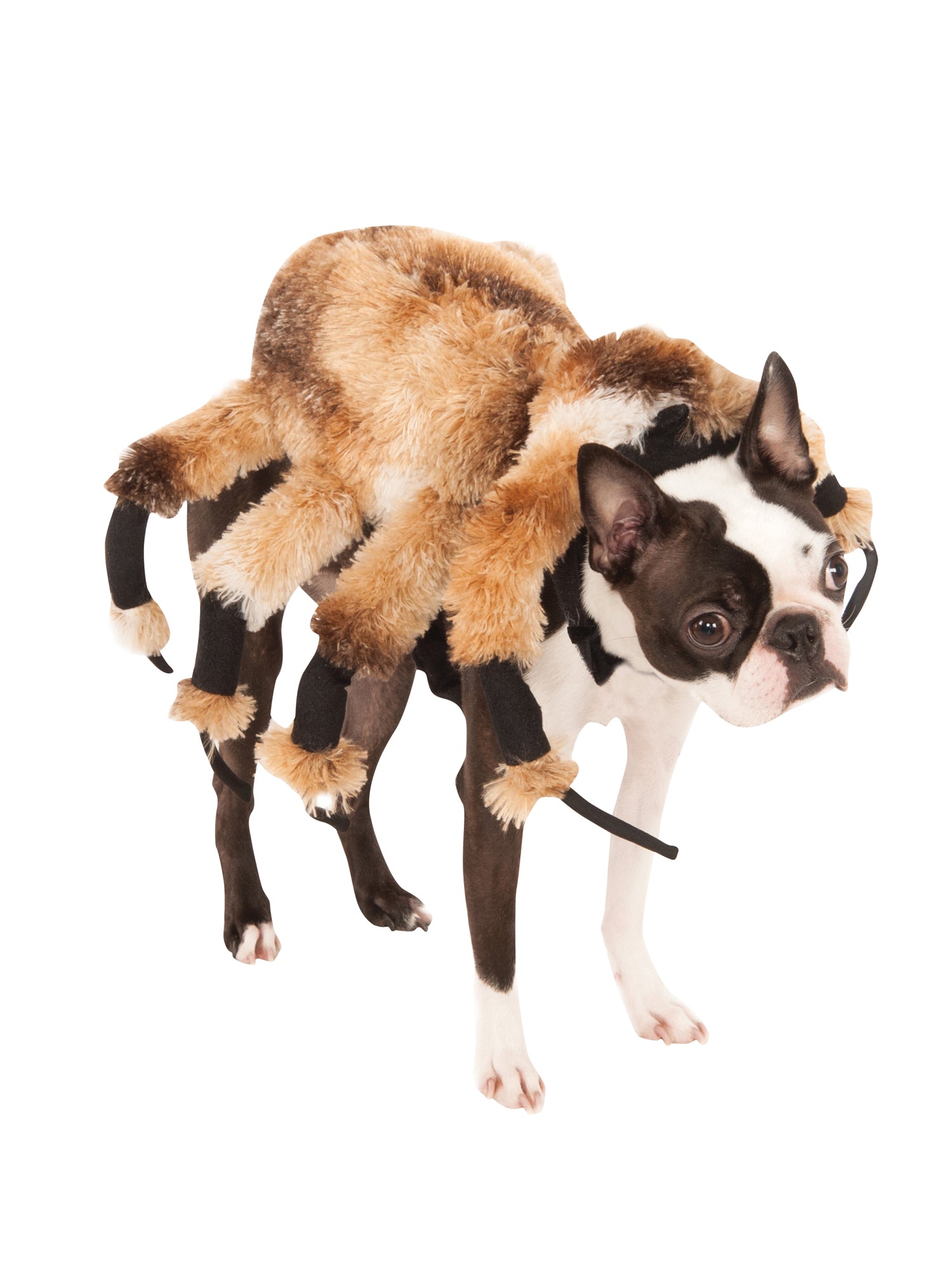 Rubies Giant Spider Pet Costume Pet Costumes – Produktansicht