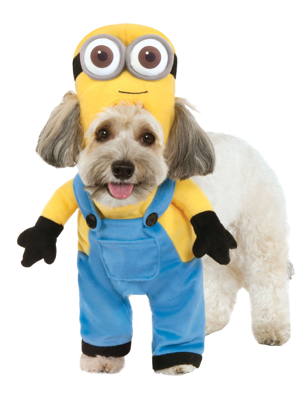 Rubies Minion Bob Pet Costumes