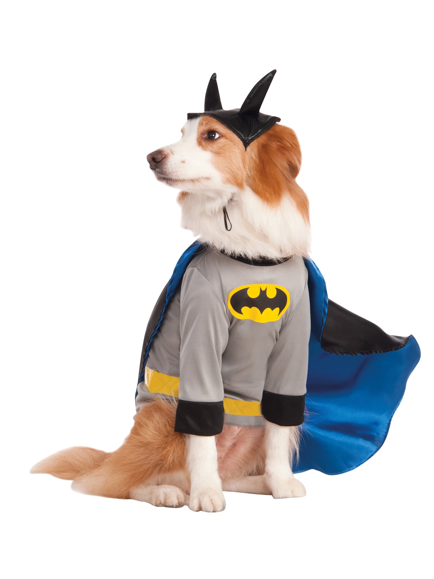 Rubies Batman Haustierkostüm für Hunde mit abnehmbarem Umhang und Kopfschmuck