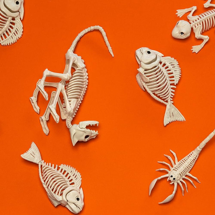 Widmann Ratten-Skelett 46 cm mit beweglichem Mund für Halloween-Dekoration – Detailansicht