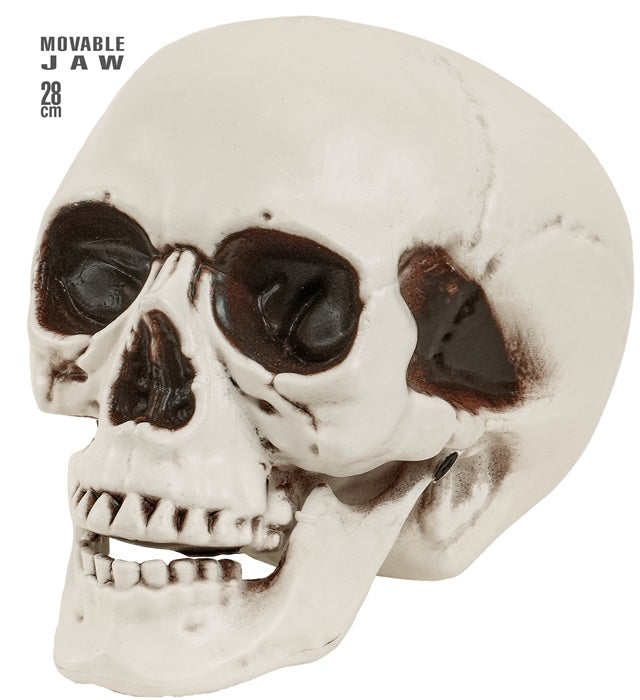 Totenkopf mit beweglichem Kiefer 28 cm als Piraten-Dekoration