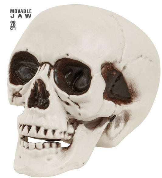 Totenkopf mit beweglichem Kiefer 28 cm als Piraten-Dekoration