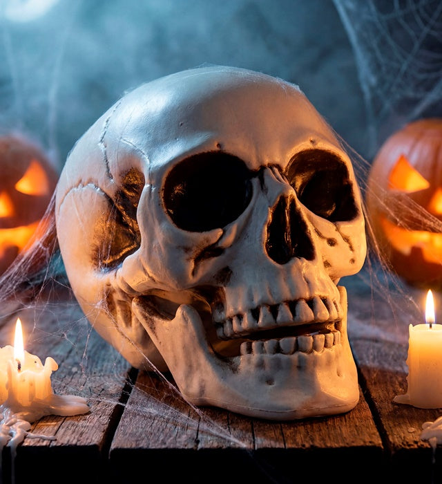Totenkopf mit beweglichem Kiefer 28 cm als Piraten-Dekoration