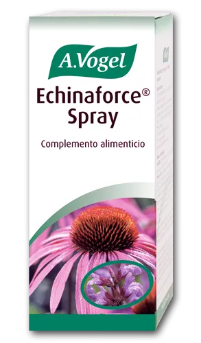 A. VOGEL A. VOGEL Echinaforce Spray 30 ml zur Anwendung Kosmetik