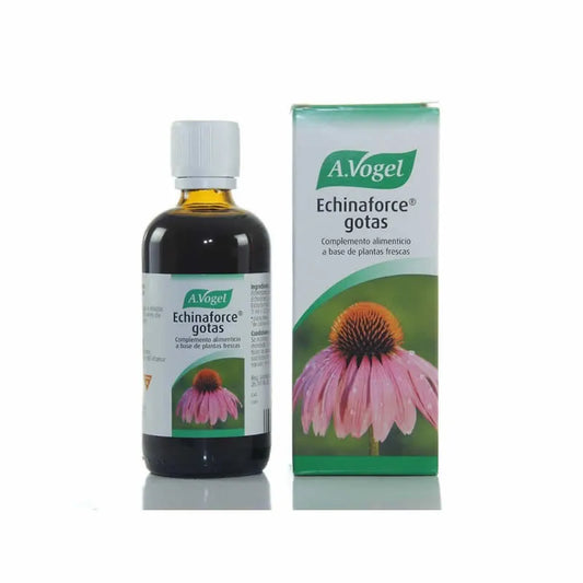 A. VOGEL A. VOGEL Echinaforce 100 ml Flüssigkeit Kosmetik