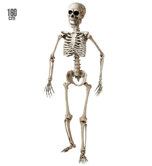 Lebensechtes stehendes Skelett 160 cm als Fasnacht und Halloween Dekoration