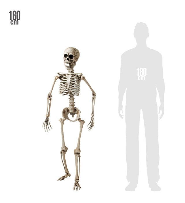 Lebensechtes stehendes Skelett 160 cm als Fasnacht und Halloween Dekoration