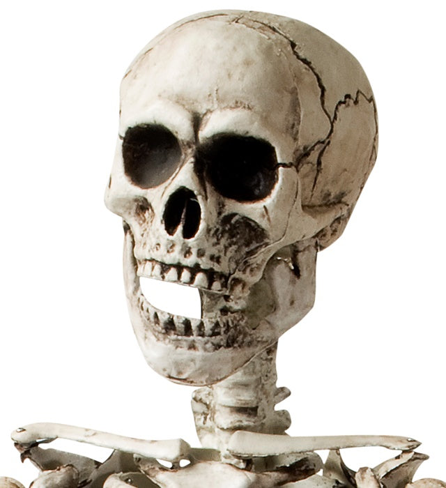 Lebensechtes stehendes Skelett 160 cm als Fasnacht und Halloween Dekoration