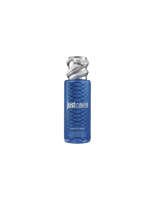 ROBERTO CAVALLI ROBERTO CAVALLI Rc Just Cavalli Mist Blue 250 ml Parfum Spray Kosmetik