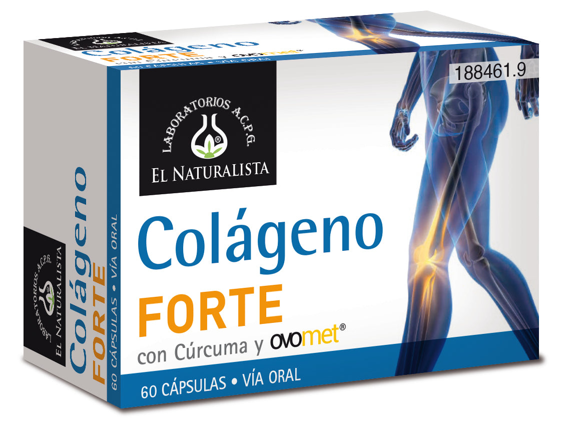 EL NATURAL EL NATURAL Colageno Forte mit Curcuma und Ovomet 60 Kapseln Nahrungsergänzung Kosmetik