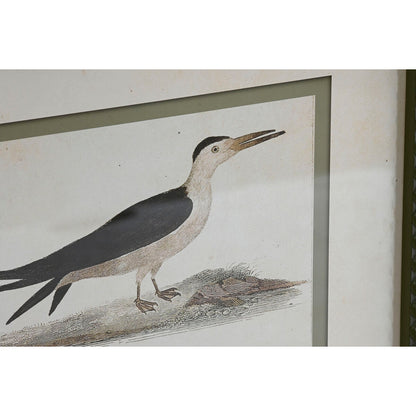 Home ESPRIT Bild mit Vögeln im Cottage-Stil aus Kristall und Birke, grün und beige, ca. 40 x 54 cm – Seitenansicht