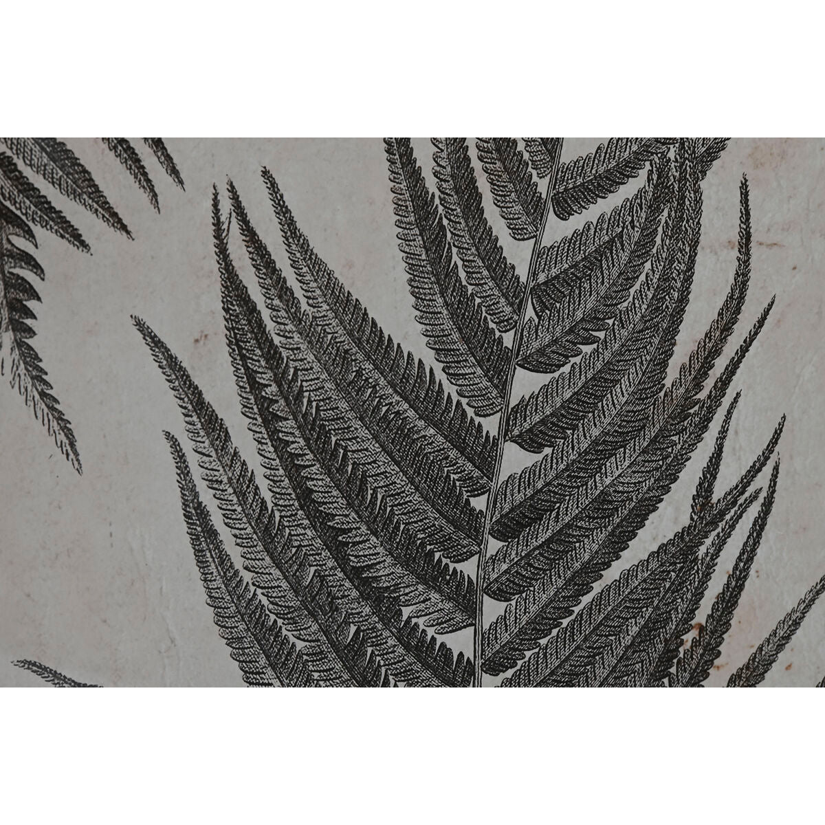 Home ESPRIT Leinwandbild mit Tannenmotiv in verschiedenen Designs – Seitenansicht