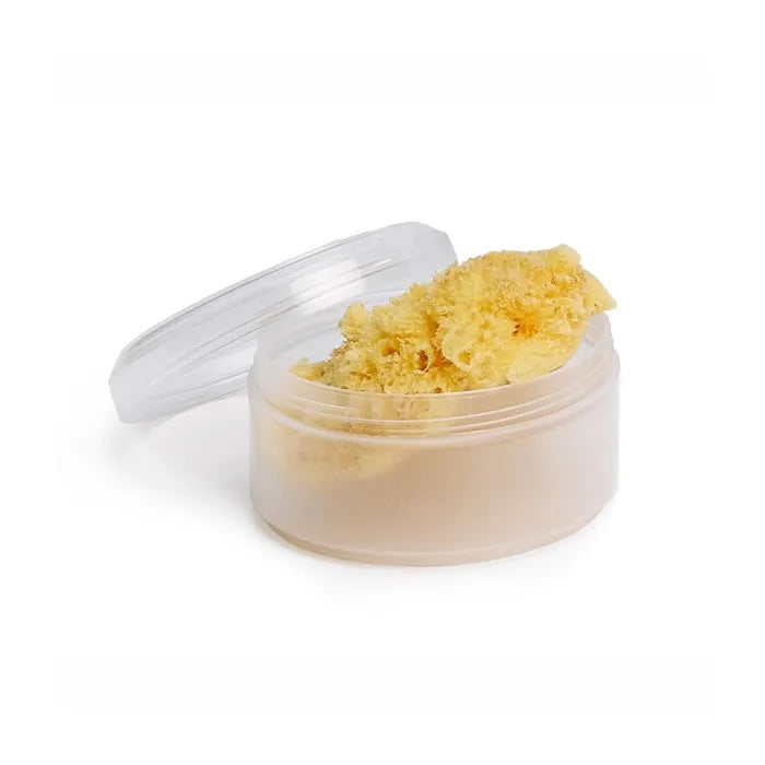 SUAVINEX Naturschwamm Big Size grosser natürlicher Kosmetikschwamm