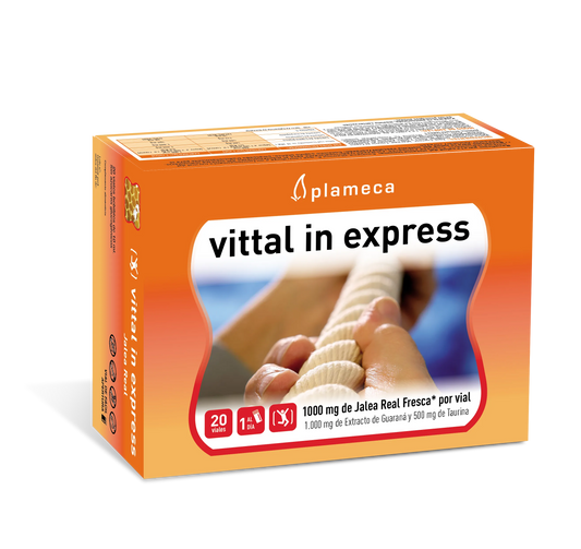 PLAMECA PLAMECA Vittal In Express Kosmetikprodukt