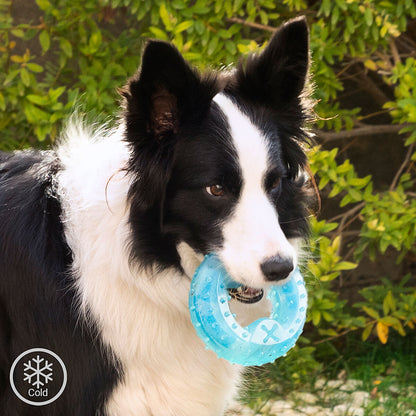 Glubiz gefrierfähiges 2-in-1-Beissspielzeug für Hunde von InnovaGoods, blau – Produktansicht