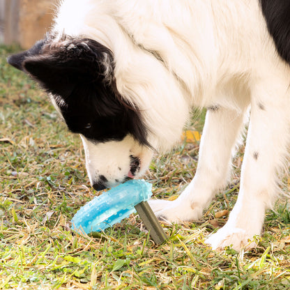 Glubiz gefrierfähiges 2-in-1-Beissspielzeug für Hunde von InnovaGoods, blau – Rückansicht