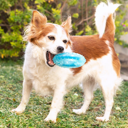 Glubiz gefrierfähiges 2-in-1-Beissspielzeug für Hunde von InnovaGoods, blau – Ansicht 7