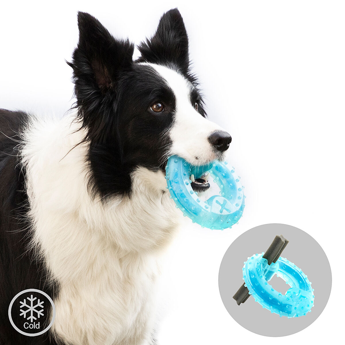 Glubiz gefrierfähiges 2-in-1-Beissspielzeug für Hunde von InnovaGoods, blau – Anwendungsansicht