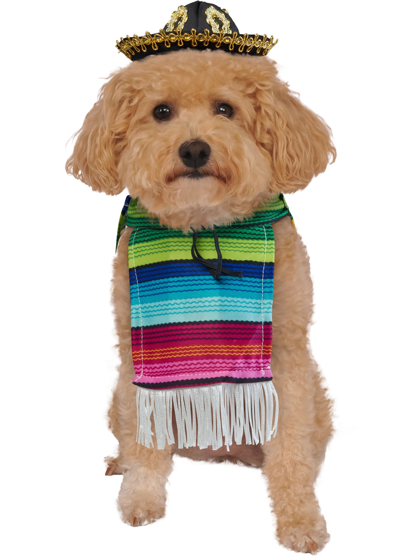 Rubies Mexican Serape Haustierkostüm mit Serape und Sombrero – Produktansicht