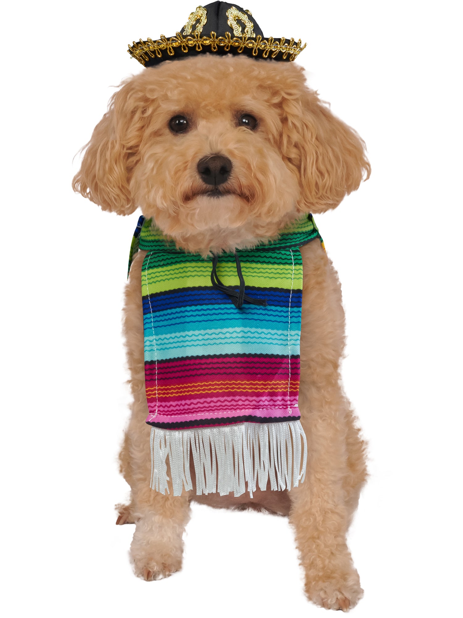 Rubies Mexican Serape Haustierkostüm mit Serape und Sombrero – Produktansicht