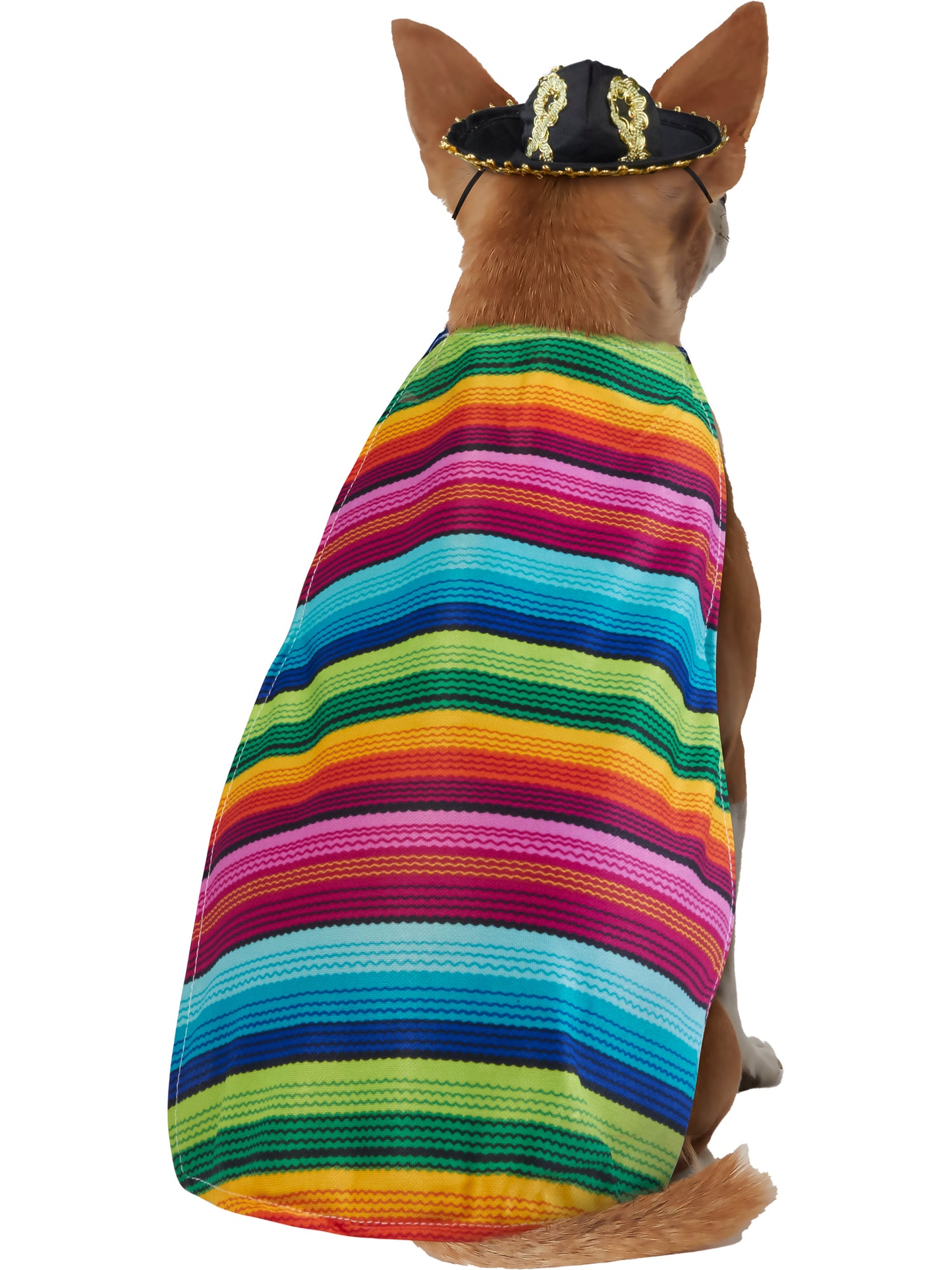 Rubies Mexican Serape Haustierkostüm mit Serape und Sombrero – Detailansicht
