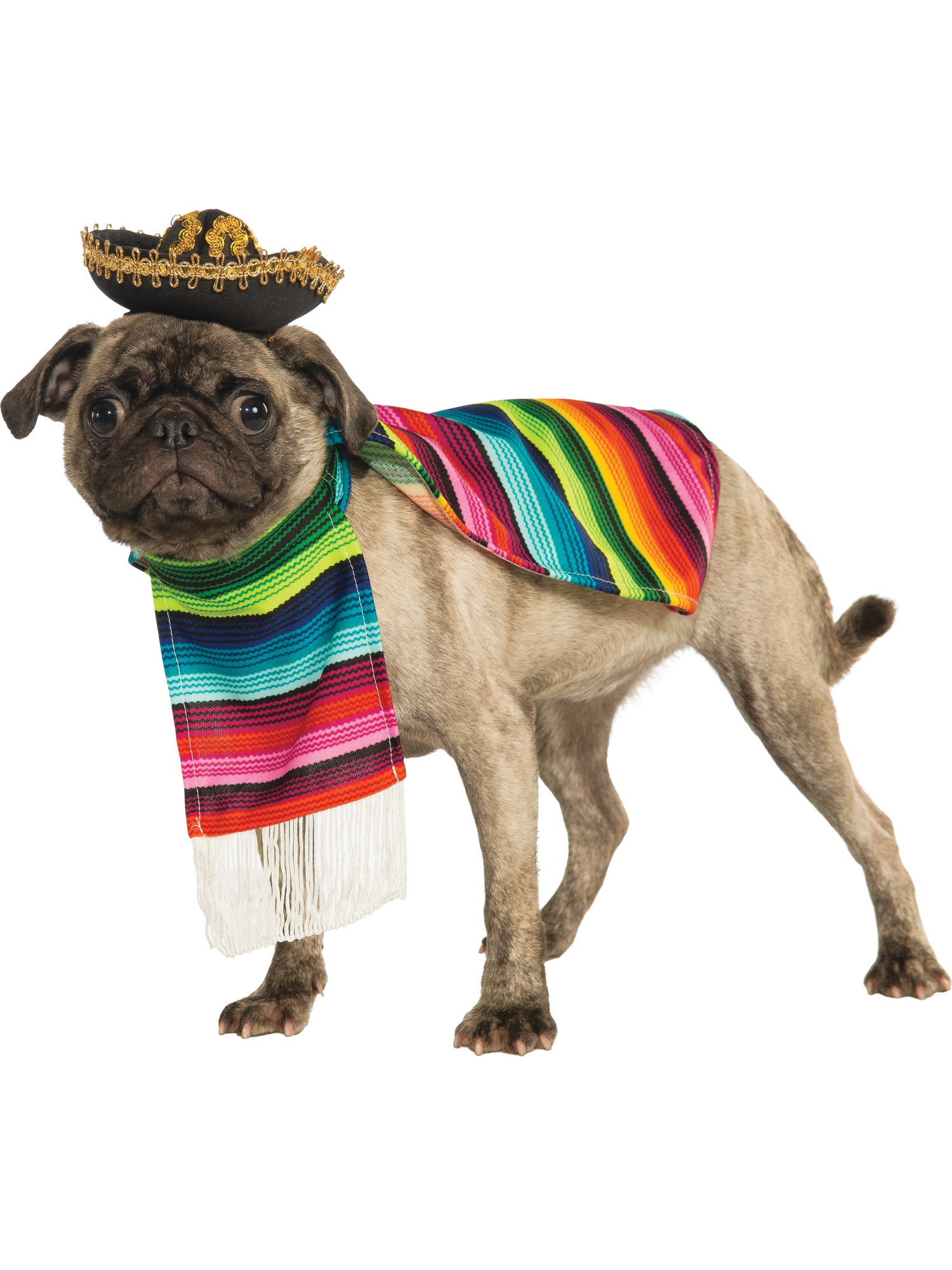Rubies Mexican Serape Haustierkostüm mit Serape und Sombrero – Verpackung