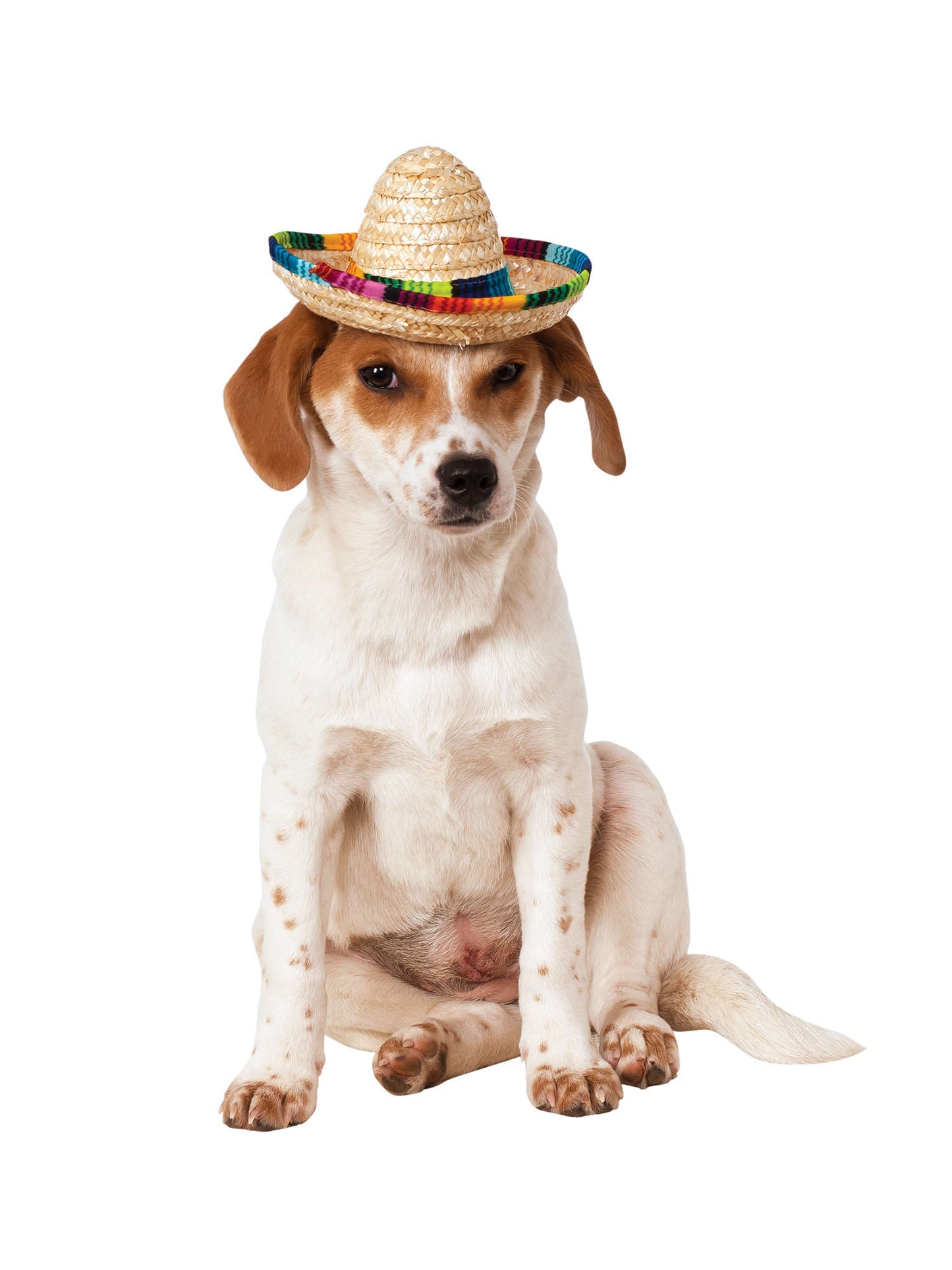 Rubies Mexican Multi-Colour Sombrero für Haustiere