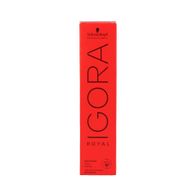 Schwarzkopf Igora Royal 6-31 Haarfarbe 60 ml
