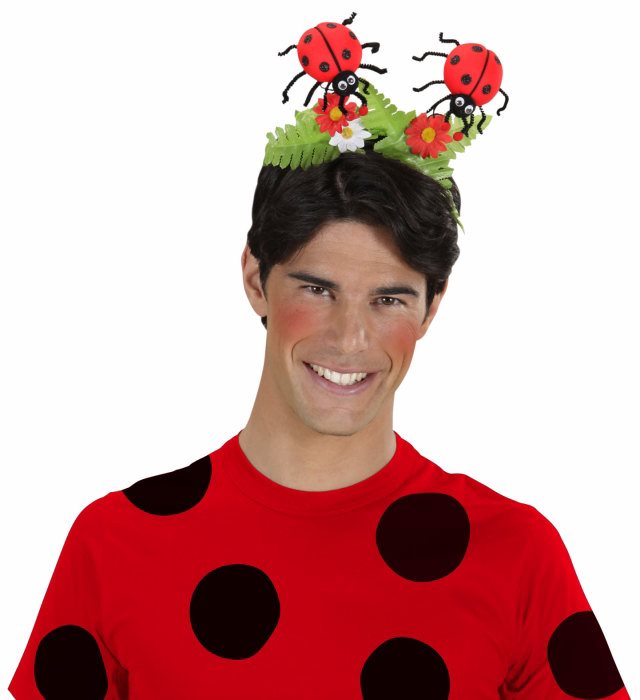 Haareif mit Marienkäfer-Motiv und Blumen als Fasnachts-Accessoire