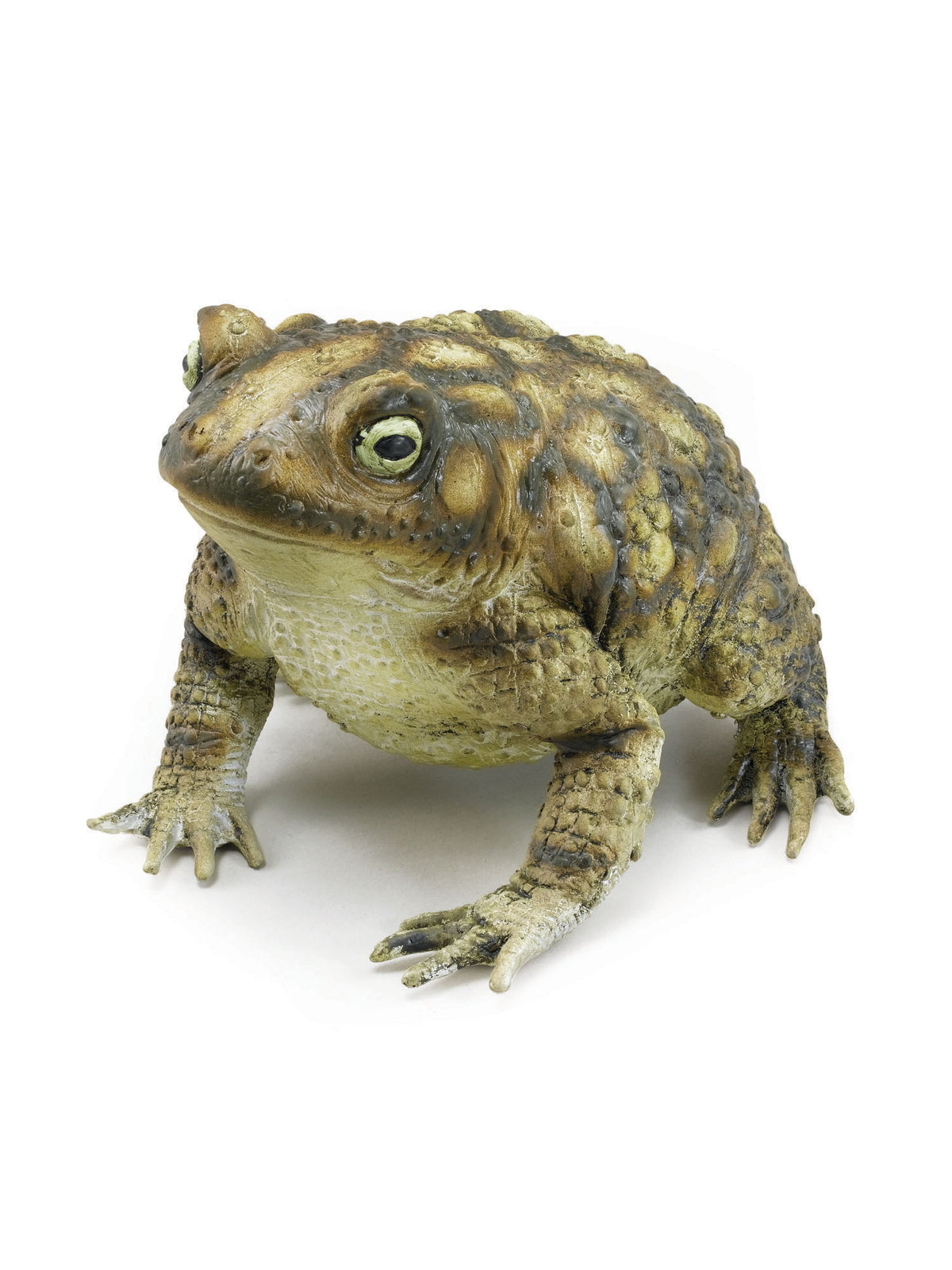 Rubies Toad (18Cm) Rubber Props