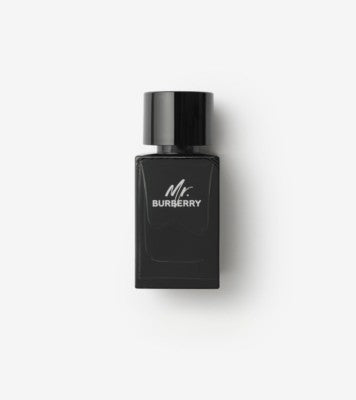 BURBERRY BURBERRY Mr Burberry Eau de Parfum Spray 100 ml Parfüm