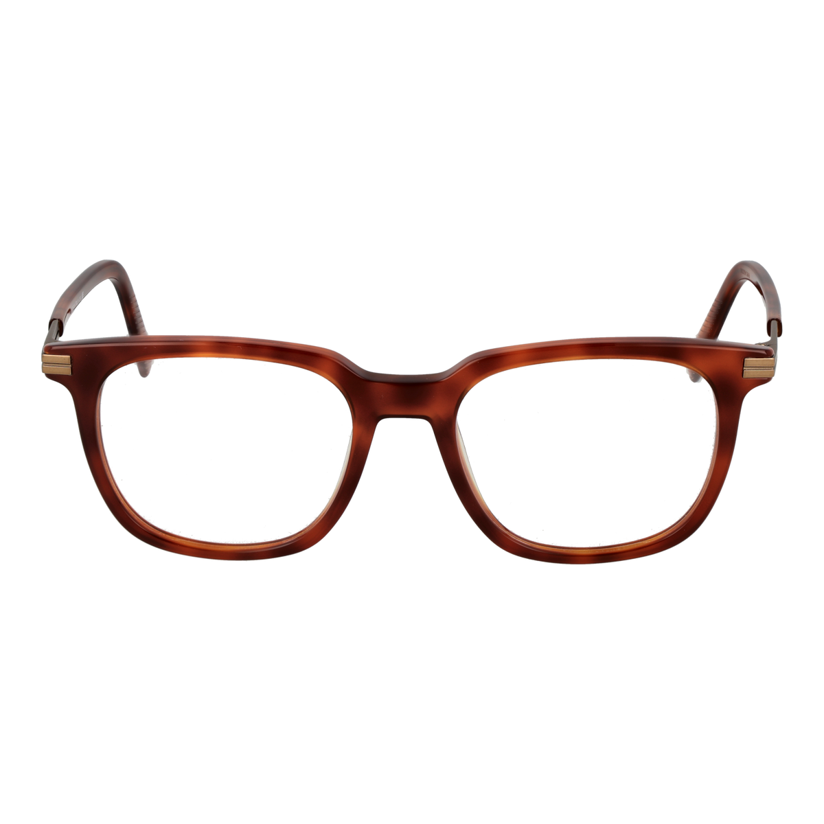 ERMENEGILDO ZEGNA EYEWEAR Ermenegildo Zegna EZ5273 52052 Brille – Detailansicht