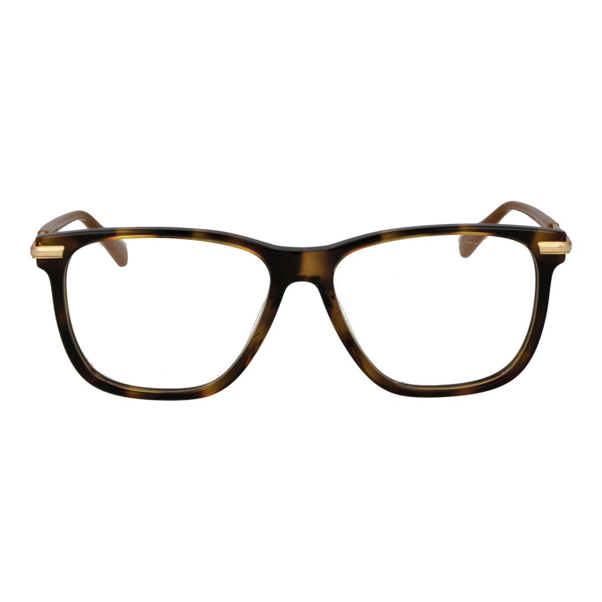 GANT Eyewear GA50007 55052 Brille – Detailansicht