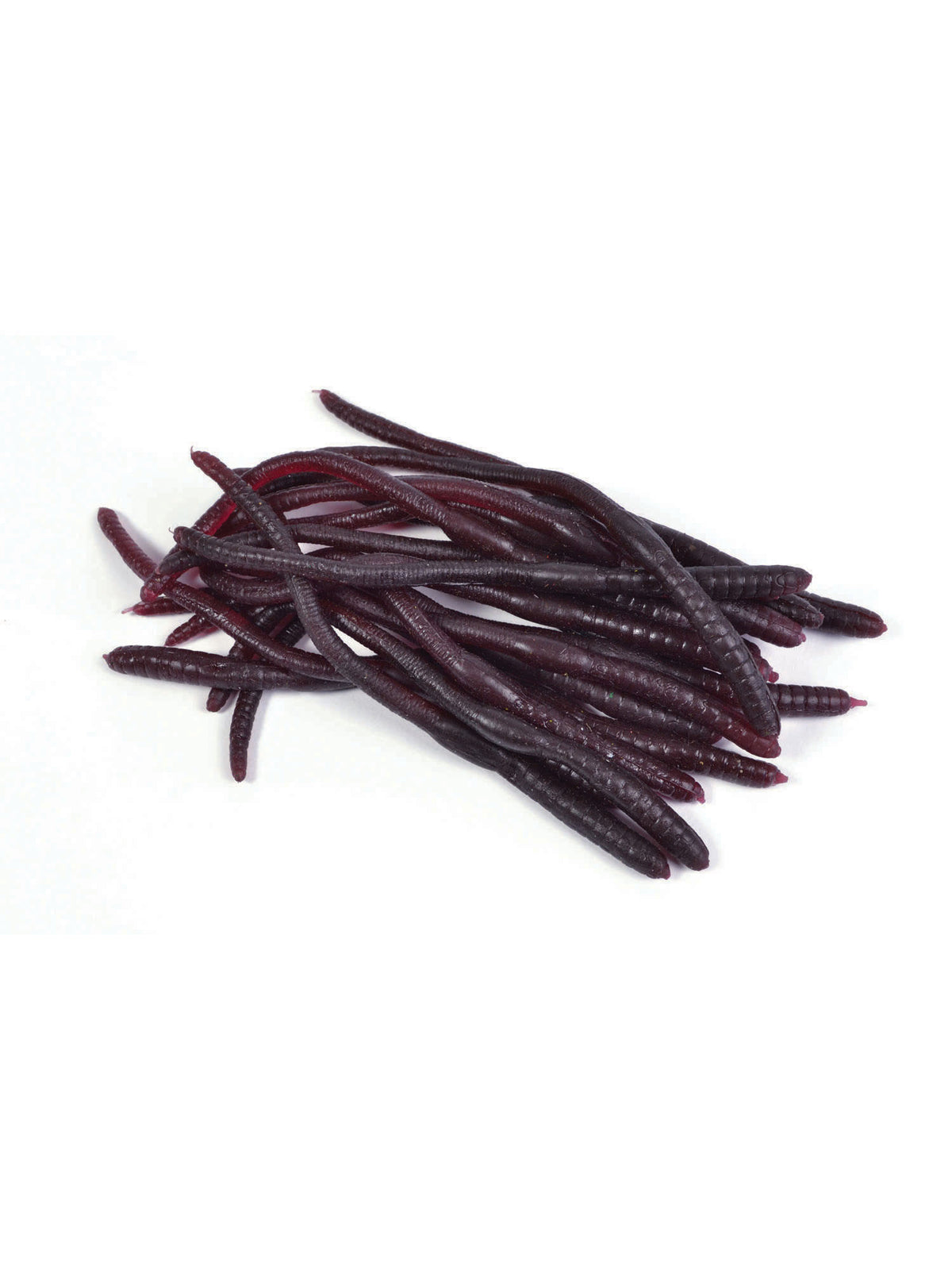 Rubies Rubies Earthworms (20Pcs) Jokes