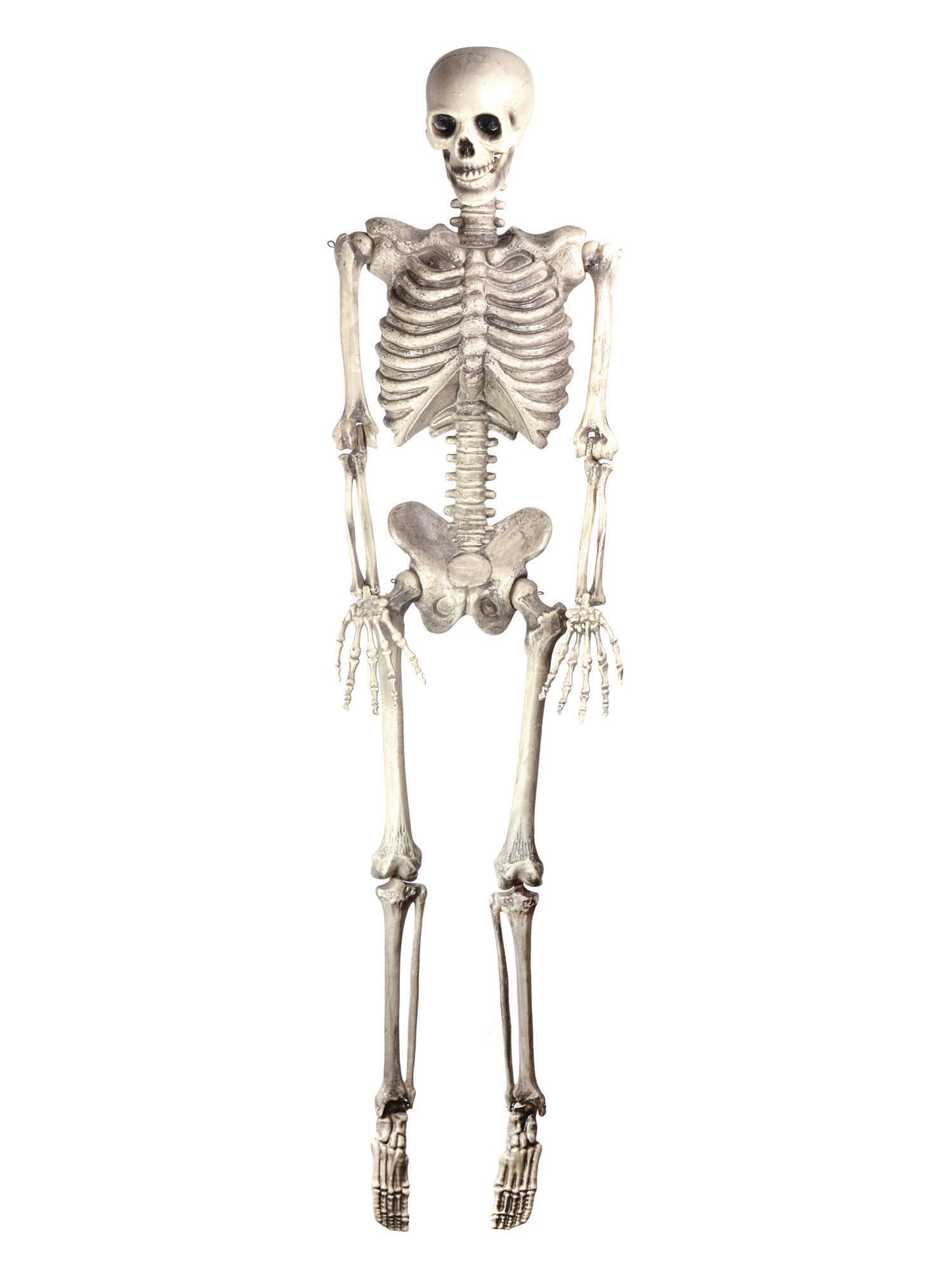Rubies Rubies Skeleton 60In Hanging Props