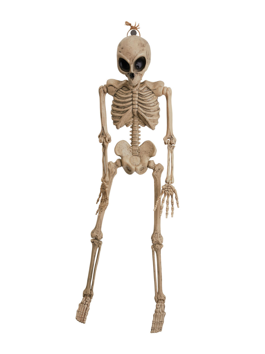 Rubies Alien Skeleton 42 inch Halloween-Dekoration