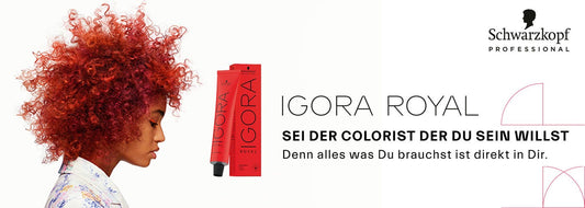 SCHWARZKOPF SCHWARZKOPF Igora Royal Haarfarbe 10-0 Naturblond Extra Hell 60 ml Kosmetik