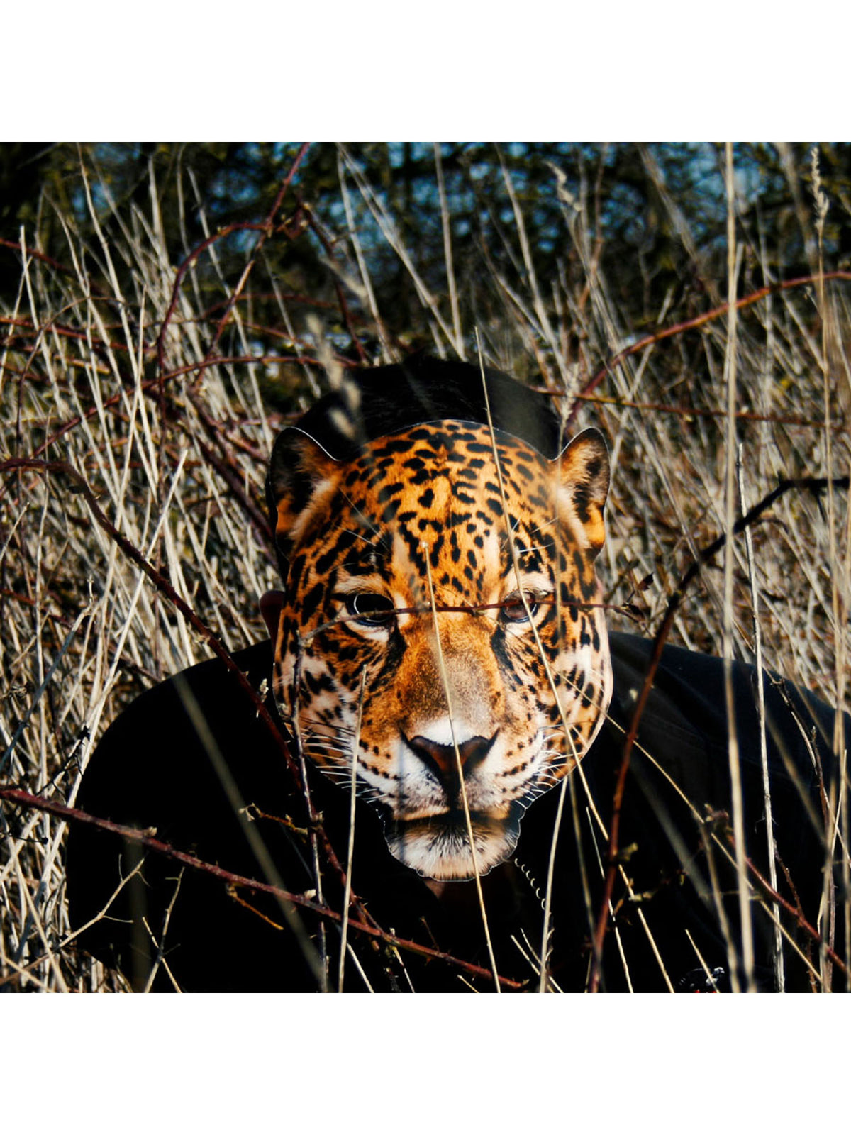 Rubies Leopard Animal Mask Maske