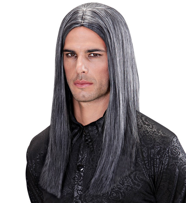 Graue Perücke Dream Hair Viktor in farbiger Verpackung
